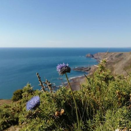 Kiberick Cottage At Crackington Haven, Near Bude And Boscastle, Cornwall Екстер'єр фото